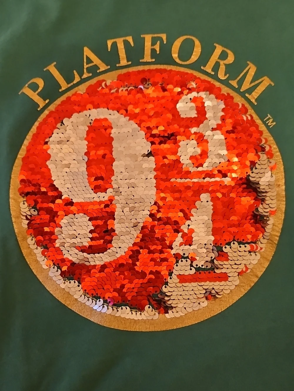 Harry Potter Mini Boden Green Kids' Platform 9¾ Sequin Tee. #283